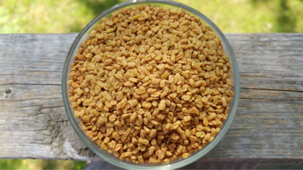 A close-up view of fenugreek in a bowl. ProstaKnight.