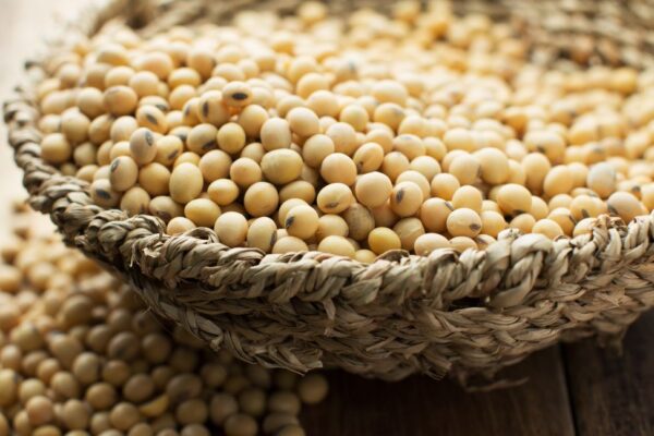 Soybean Lower Testosterone