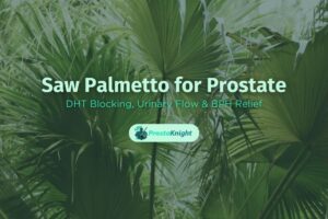 Saw Palmetto for Prostate DHT Blocking